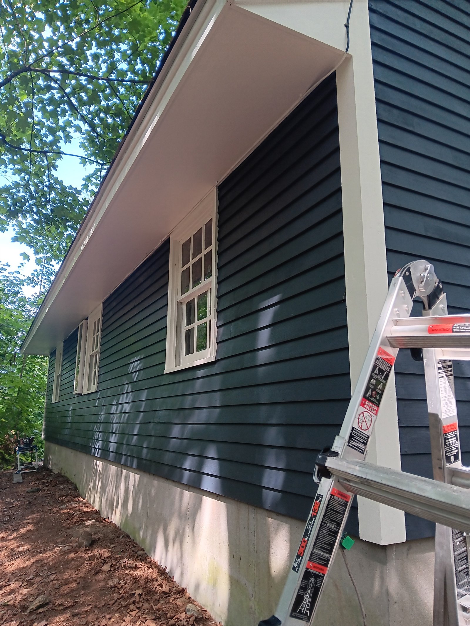 Exterior repaint of home